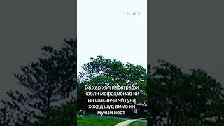 ‎
