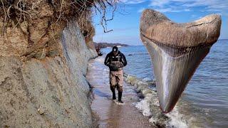 Finding a MEGALODON SHARK TOOTH! | Fossil Hunting