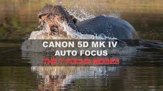 Canon 5D Mk IV - Autofocus: Part 2/4 - The 7 Focus Modes