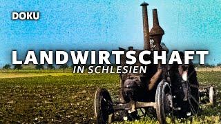 Landwirtschaft in Schlesien (GESCHICHTE, Dokumentation Deutsch, ARCHIV, Originalaufnahmen)