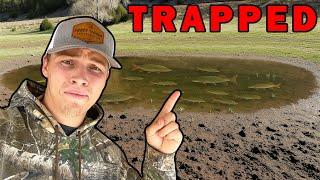 We Found So Many Trapped Fish In A Mountain Puddle…
