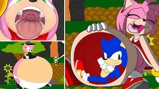 WAIT AMY!! SONIC IS NOT FOOD!!! ️ (Sonic The Hedgehog Feast)