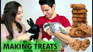 DIY Bunny Treats and Bini meets Lennon the Bunny