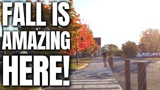 Autumn Walking in Upstate New York | Fall 2022