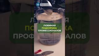 Простая бюджетная подкормка для ваших растений#цветы #растения #сад #дача #лайфхак #огород #лайф