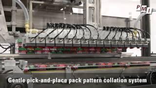 High-speed, all-servo cartoning and case packing system