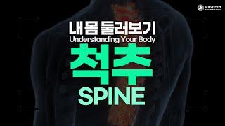 Spine [Understanding Your Body]