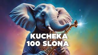 Balkanizatora - Kucheka 100 Slona (Sanana slowed version)