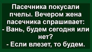 Как пасечника пчелы покусали! Сборник свежих анекдотов! Юмор!