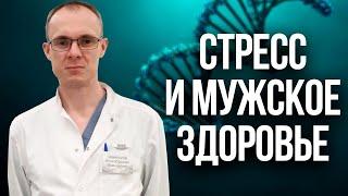 Стресс и мужское здоровье. Проблемы с зачатием. Врач уролог-андролог. Москва.