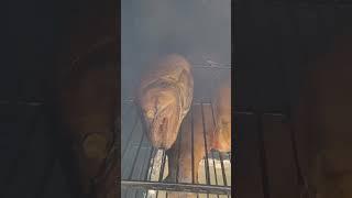 spicy smoked trout