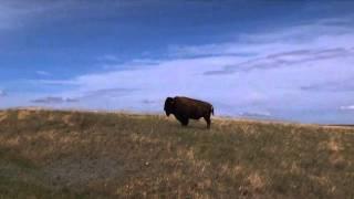 Photography: Landscapes, Landmarks, and Wildlife – Course Preview