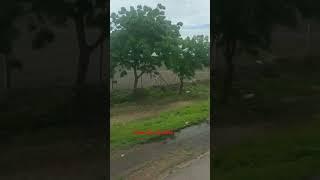please like subscribe
