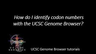 How do I identify codon numbers with the UCSC Genome Browser?