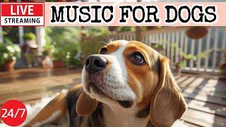 [LIVE] Dog MusicDog Calming MusicSeparation Anxiety ReliefRelaxing Music for Dog Sleep18