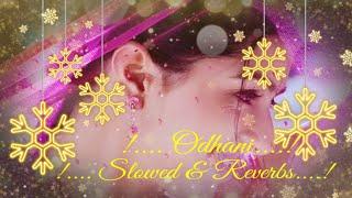 Odhani odh ke nachu __ Old song__ Slowed  Reverbs __ Tere naam __ New version __ Salman Khan