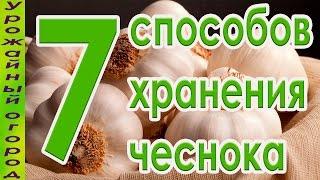 7 СПОСОБОВ ХРАНЕНИЯ ЧЕСНОКА!