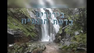 לִחְיוֹת אֶת הַמַּדְרֵגָה שֶׁל בֶּאֱמֶת - הָרַב אַבְרָהָם פֶּלֶג  