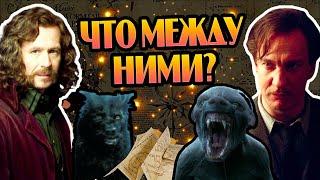 Почему Сириус Блэк Не Доверял Римусу Люпину?