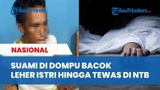 Kronologi Pria di Dompu NTB Bacok Istri Hingga Tewas, Bermula Saat Cekcok soal Rencana Panen Tembaka