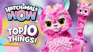 The Top 10 BEST Things to do with Your Hatchimals Wow!