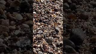 Clear sea glass. #beach #clear #seaglass