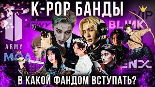 Обзор K-POP фандомов: BTS, STRAY KIDS, BLACKPINK, ENHYPEN, TXT, BIGBANG