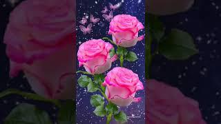 flower status video || Beautiful flower nature status video|| Rose status video