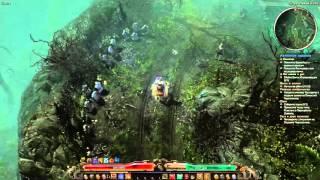 Grim Dawn - демонстрация персонажа на ответный урон