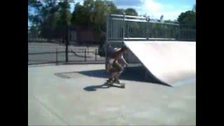 skateteam vid