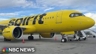 Spirit Airlines flight attendant hurt after plane struck by gunfire