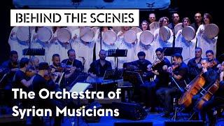 The Orchestra of Syrian Musicians, 2016 | Holland Festival Parels