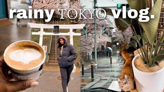 TOKYO RAINY DAYS Let's buy a prairie dog?