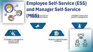 SAP HCM Professional Certification | SAP HCM Training Guide | SAP HCM Tutorial Series