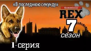 Комиссар Рекс, 7 сезон, 1 серия «В последнюю секунду»