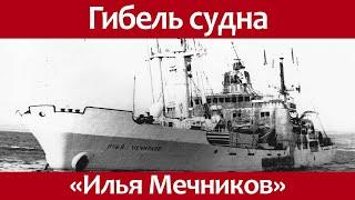 The shipwreck of the ship Ilya Mechnikov in the port of Tartus and the Yom Kippur war.