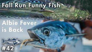 Fall Run Funny Fish Albie Fever is Back | OTW Podcast #42