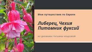 Питомник фуксий и пеларгоний в Либерец. Чехия