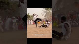 KUNG fu CONTACT 