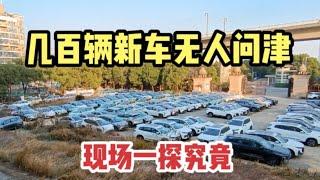 武汉意外发现一个汽车坟场，几百辆新车尘封无人要，这怎么回事？#汽车 #武汉