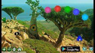 Wow Dragon Tree Forest Escape walkthrough Wowescape.