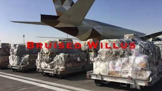 BRUISED WILLUS - Air Cargo Strong (Official Music Video)