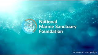 National Marine Sanctuary Foundation Feature Friday