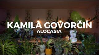 From house to techno a journey by Kami Govorčin at Casa Sanz - Alocasia TV Chile