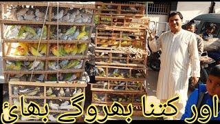 Birds Market Lalukhet Sunday Video Latest Update 15-12-24 Sohail Ahmed TV in Urdu