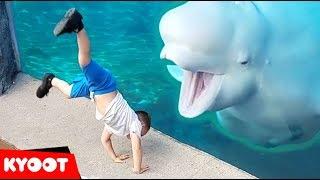 Beluga Whale is AMAZED by Tricks!  | Funny Aquarium Videos