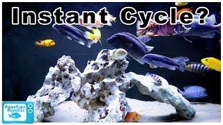 How to Cycle a Fish Tank FAST!