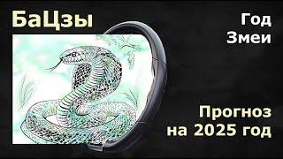 БАЦЗЫ: Волшебный прогноз на 2025 год змеи