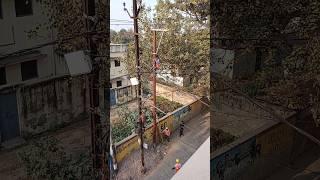 tough job of lineman without protective harness| hard working electrician #lineman #electricity