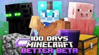 I Survived 100 Days in Better Beta Minecraft